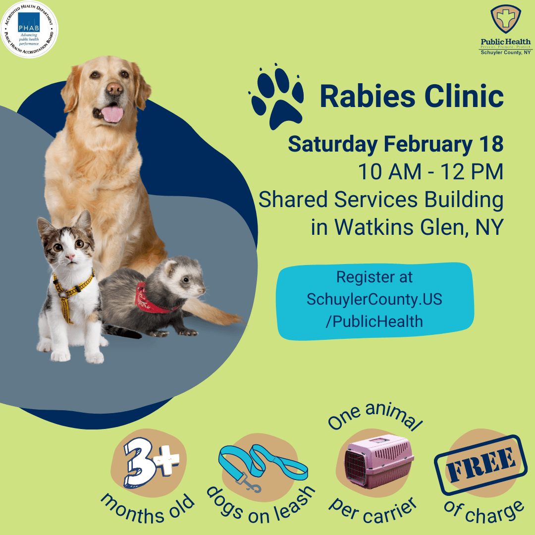 Flyer with information about when and where the rabies clinic is
