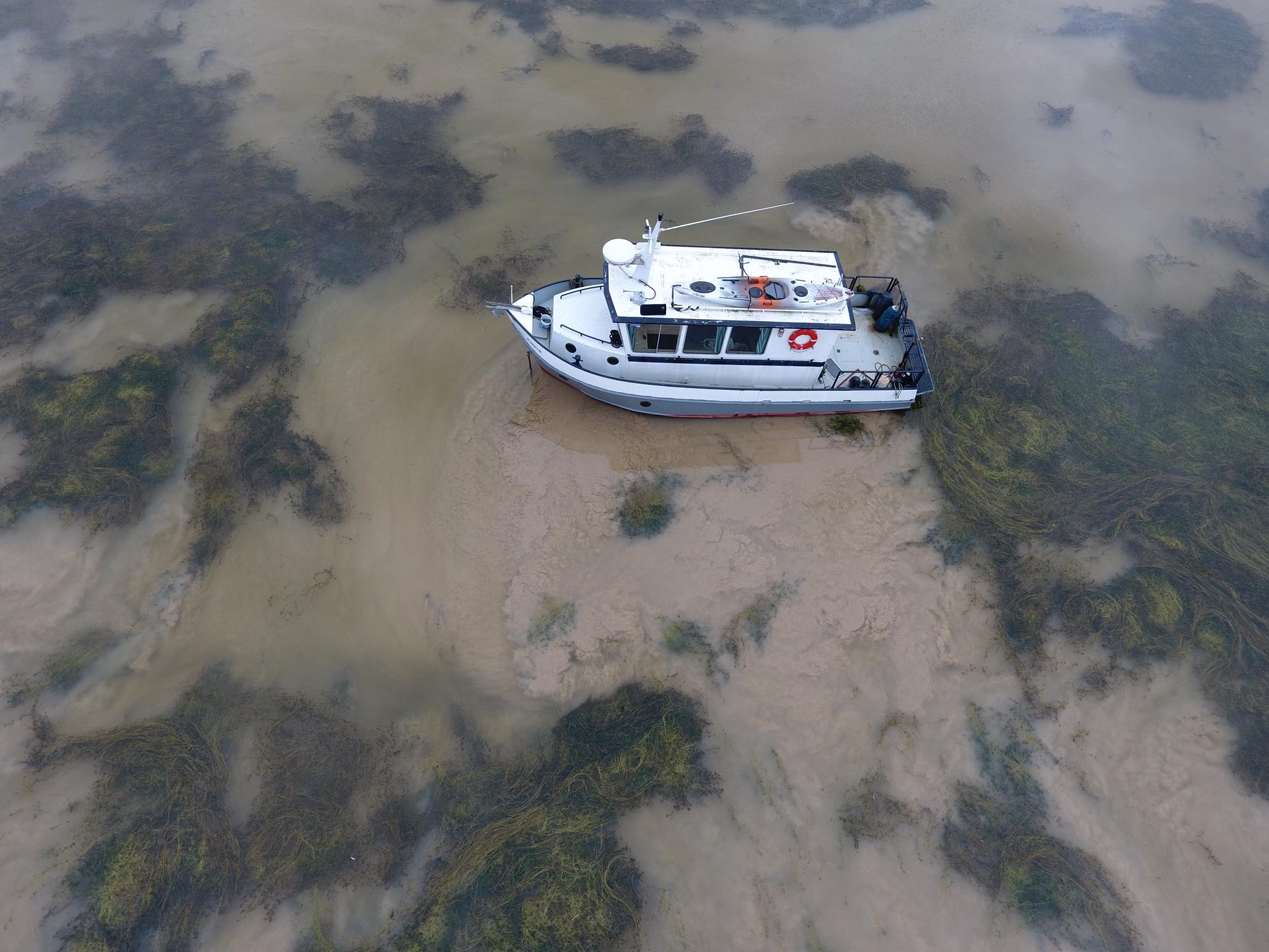 39162725_10212131099728879_4664145251491905536_o