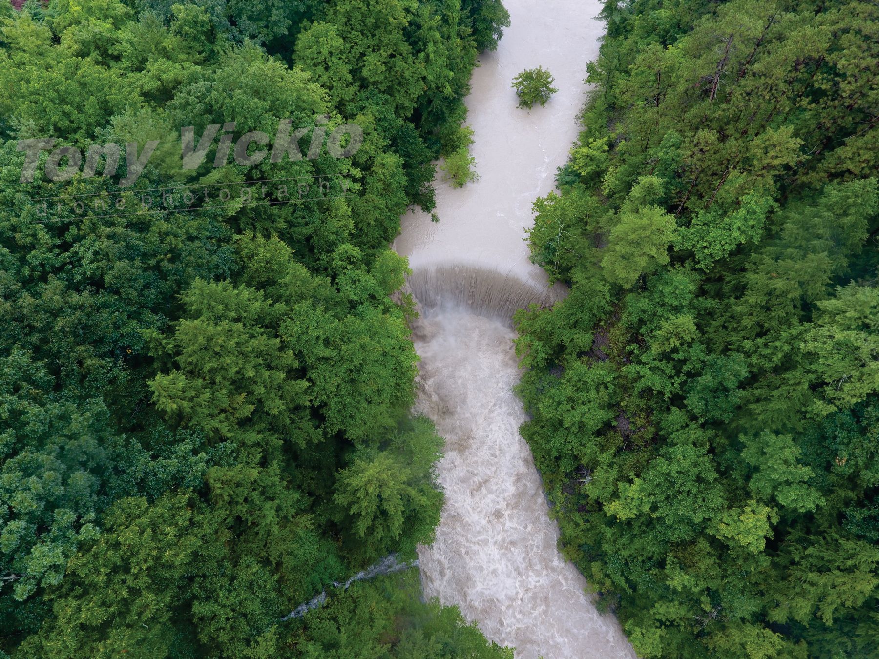 39245331_1876687362414496_2922816439968595968_o